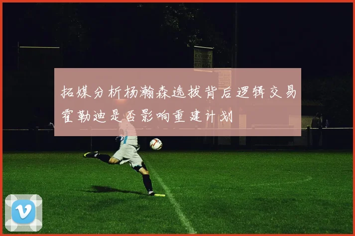 拓媒分析杨瀚森选拔背后逻辑交易霍勒迪是否影响重建计划